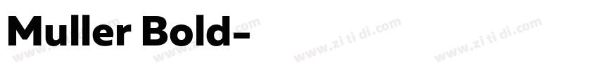 Muller Bold字体转换
